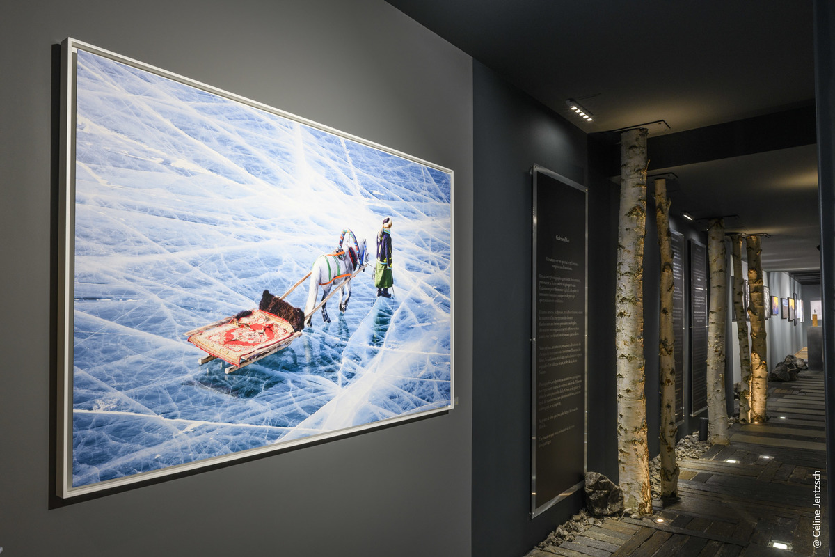 Mille Et Une Nuits Mongoles de Céline Jentzsch