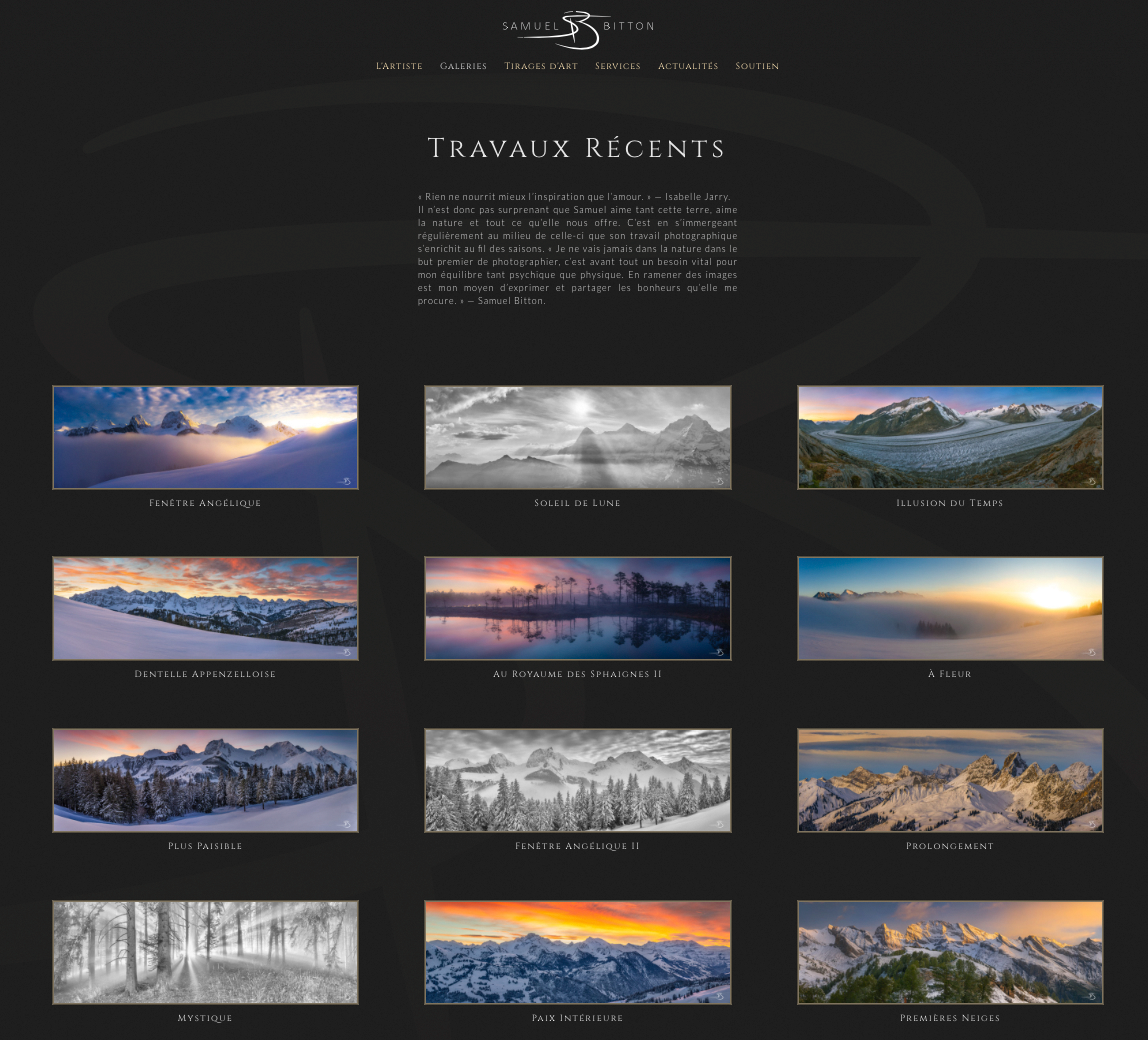 Galerie en ligne : Travaux Récents